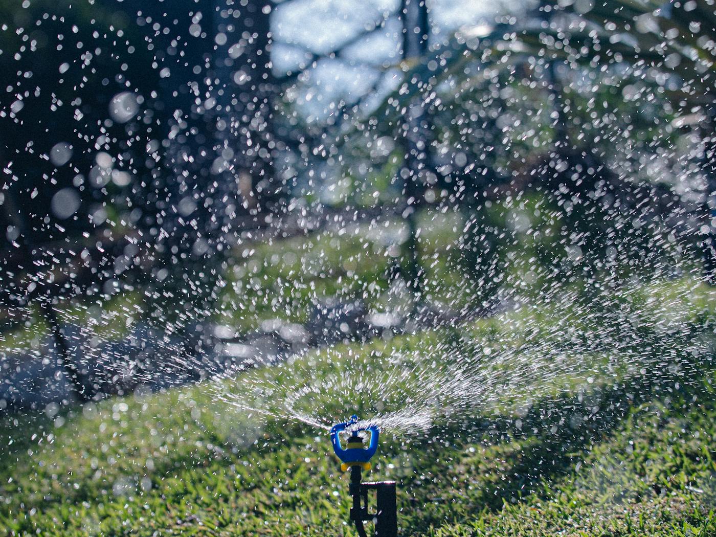 Garden sprinkler running across a green lawn