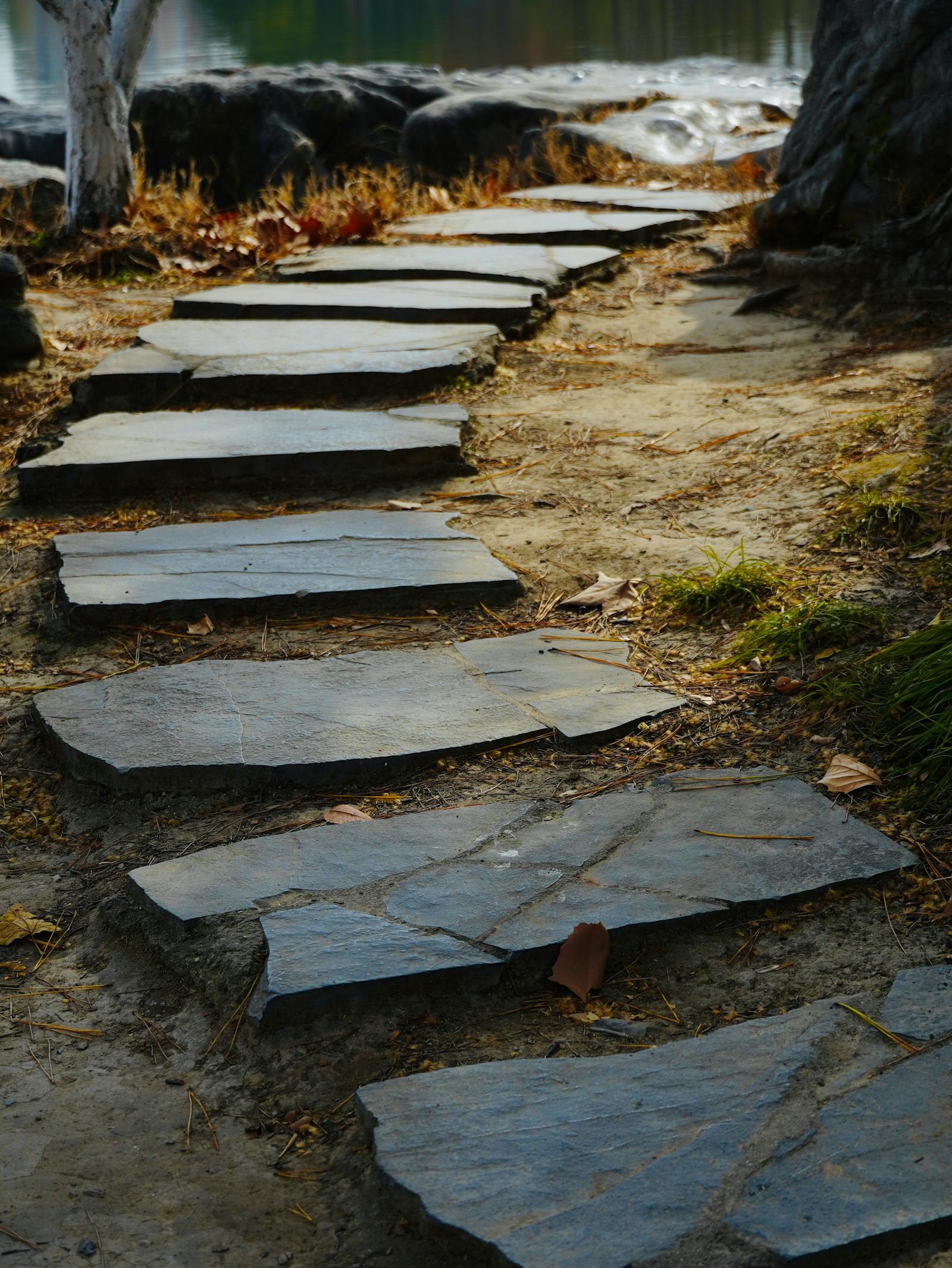 Flagstone pathway through a desert garden, irregular cuts
