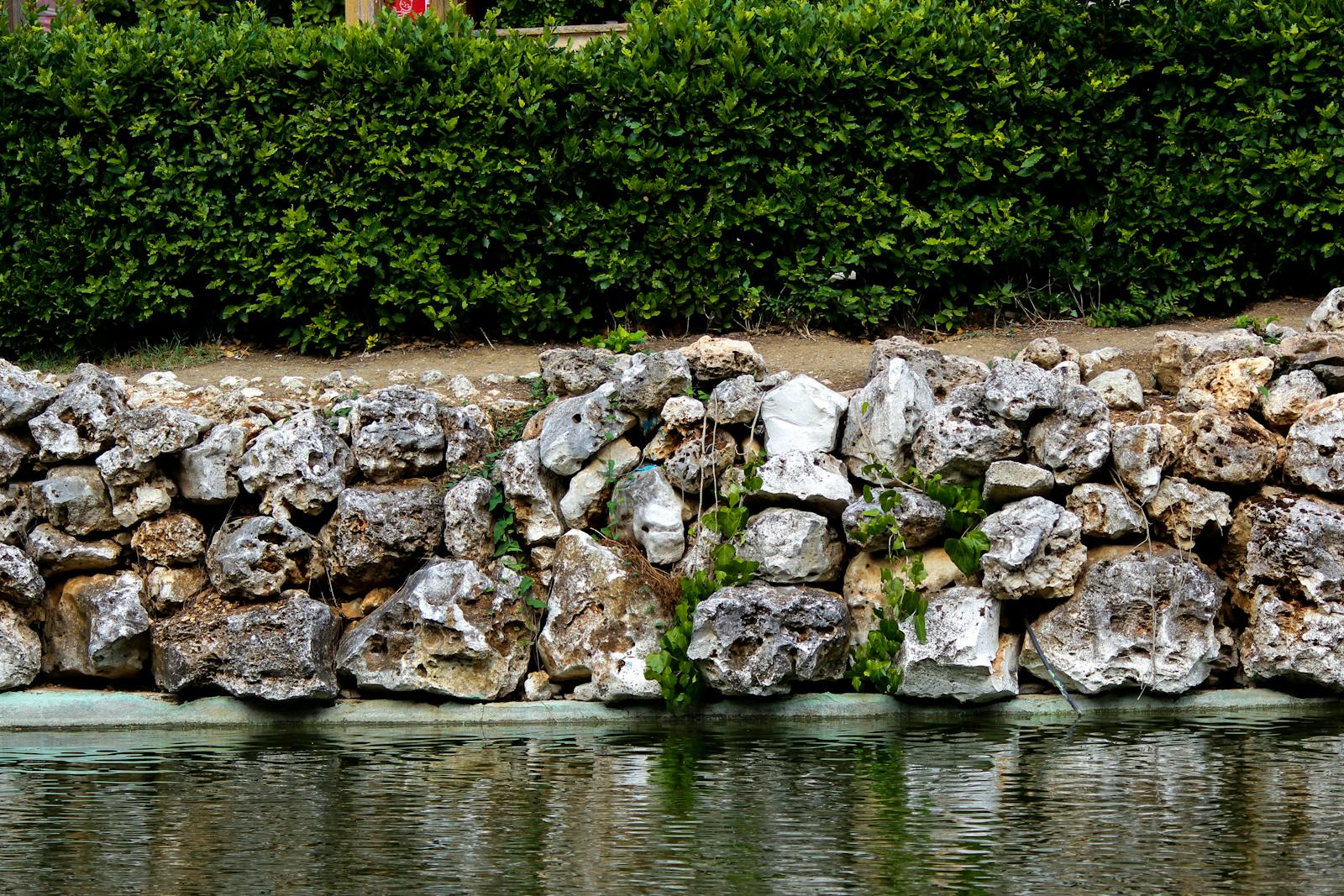 Stone retaining wall behind a pond and hedge planting