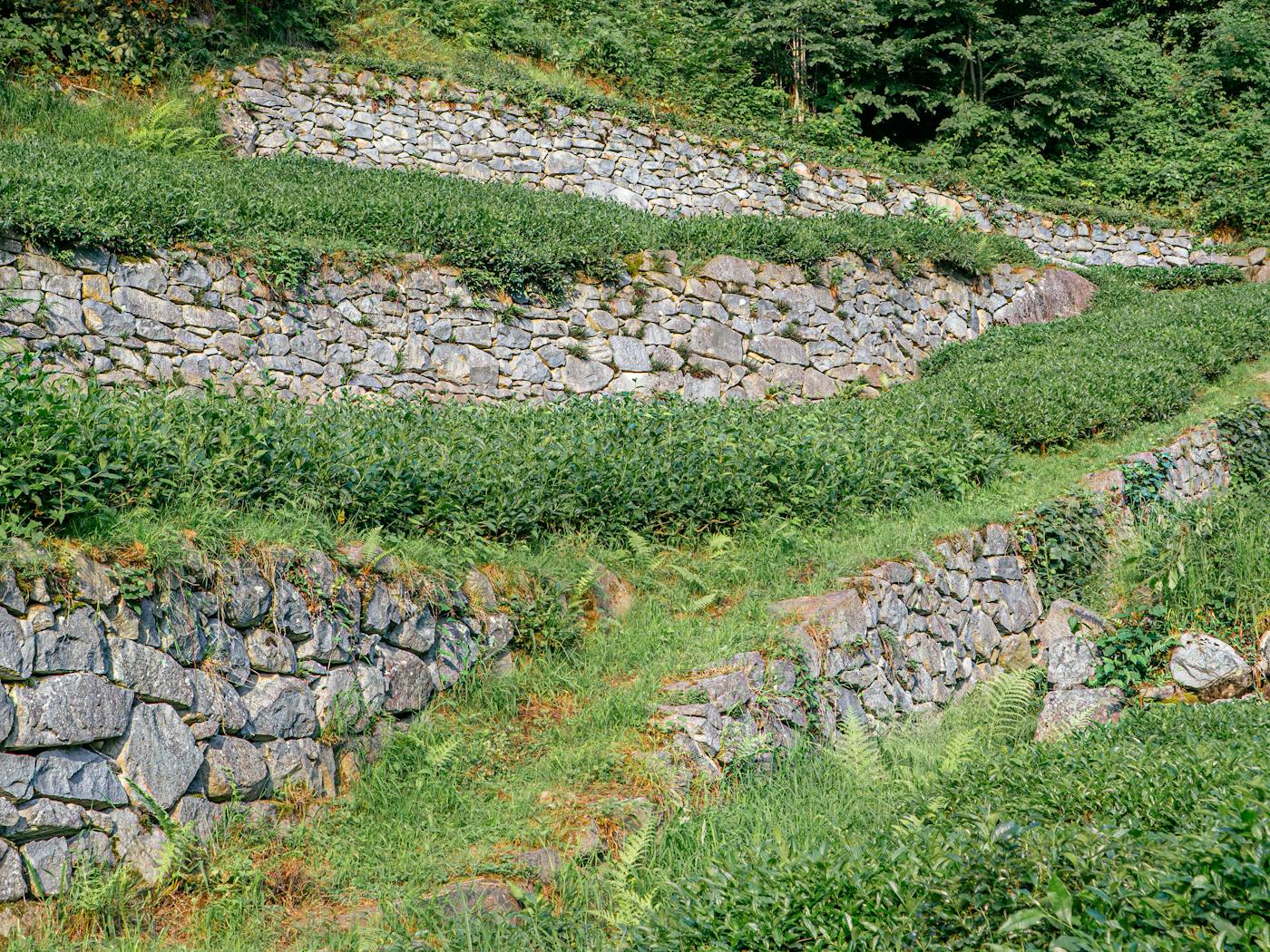 Terraced stone retaining walls stepping down a slope